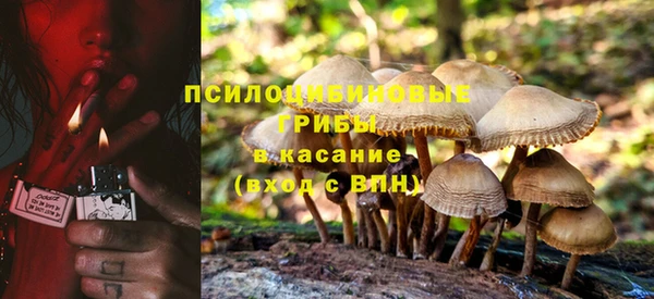 соль курить ск Алзамай